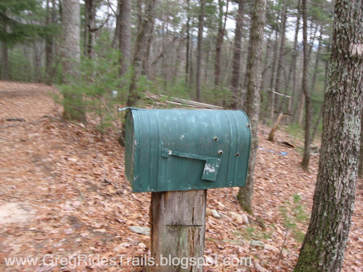 Rusty green mailbox on a wooden post, situated on a wooded trail covered with fallen leaves. Surrounding trees are tall and thin, suggesting a serene natural setting. Bull / Jake Mountain mountain bike trail.