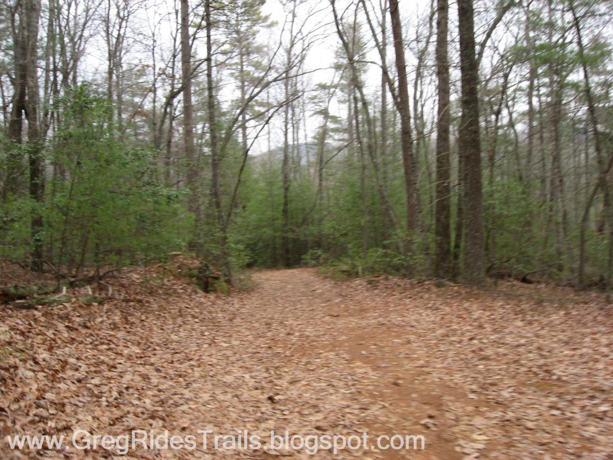 A dirt trail surrounded by trees in a forest setting, with a carpet of fallen leaves covering the ground. The scene appears to be overcast, suggesting a cool, cloudy day. Bull / Jake Mountain mountain bike trail.