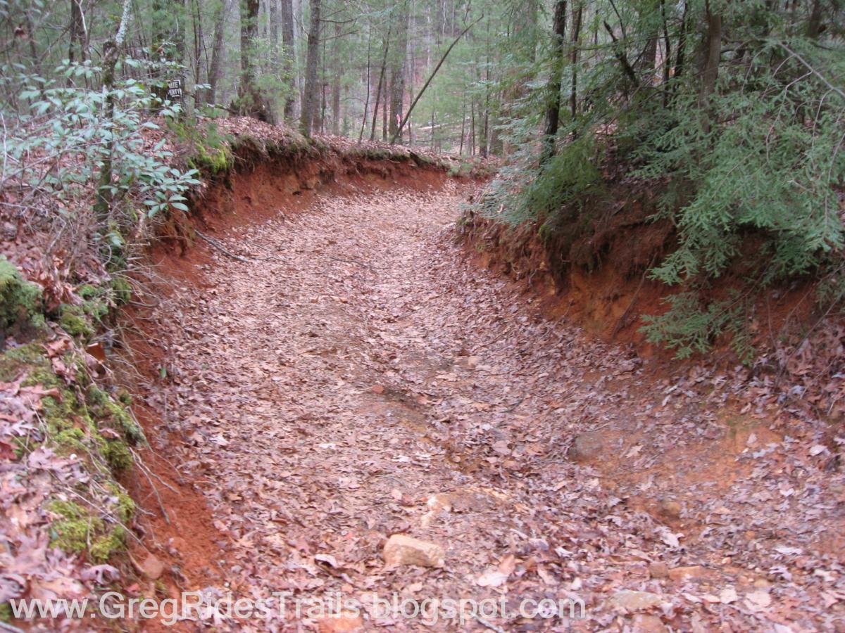 A winding dirt trail surrounded by trees, showing reddish soil and scattered leaves along the path. The trail has notable erosion on the sides, giving it a distinct shape as it curves through a forested area. Bull / Jake Mountain mountain bike trail.