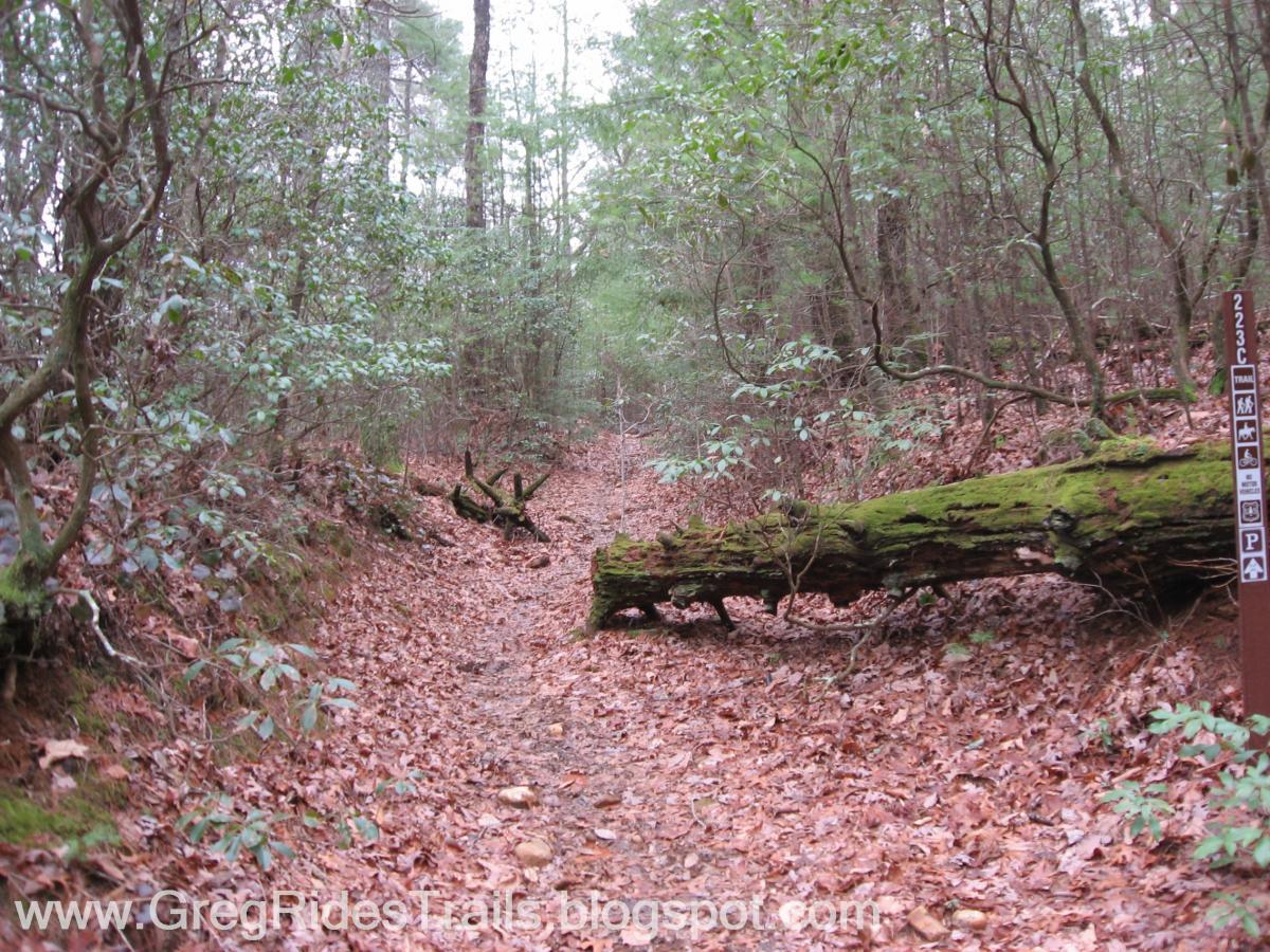 A narrow forest trail surrounded by dense greenery and leaf-covered ground. A large fallen log covered in moss lies across the path, and a trail marker is visible to the right, indicating trail number 223C along with symbols for hiking and parking. The scene conveys a serene and natural environment. Bull / Jake Mountain mountain bike trail.