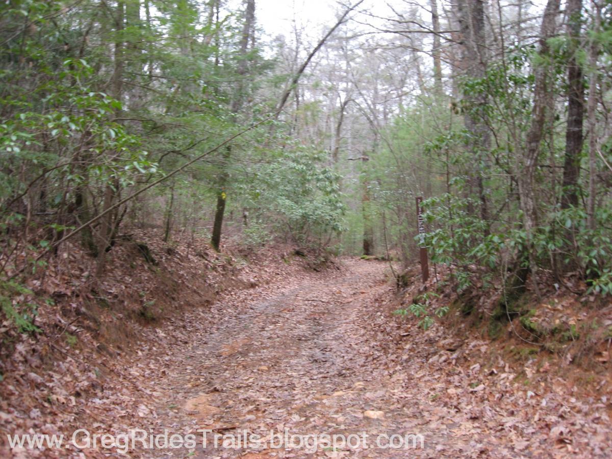 A quiet, winding dirt trail surrounded by dense trees and lush foliage, covered with fallen leaves. The trail appears slightly muddy and meanders into the distance, inviting exploration. A trail marker can be seen on the right side. The overall atmosphere is serene and natural, suggesting a peaceful outdoor setting. Bull / Jake Mountain mountain bike trail.