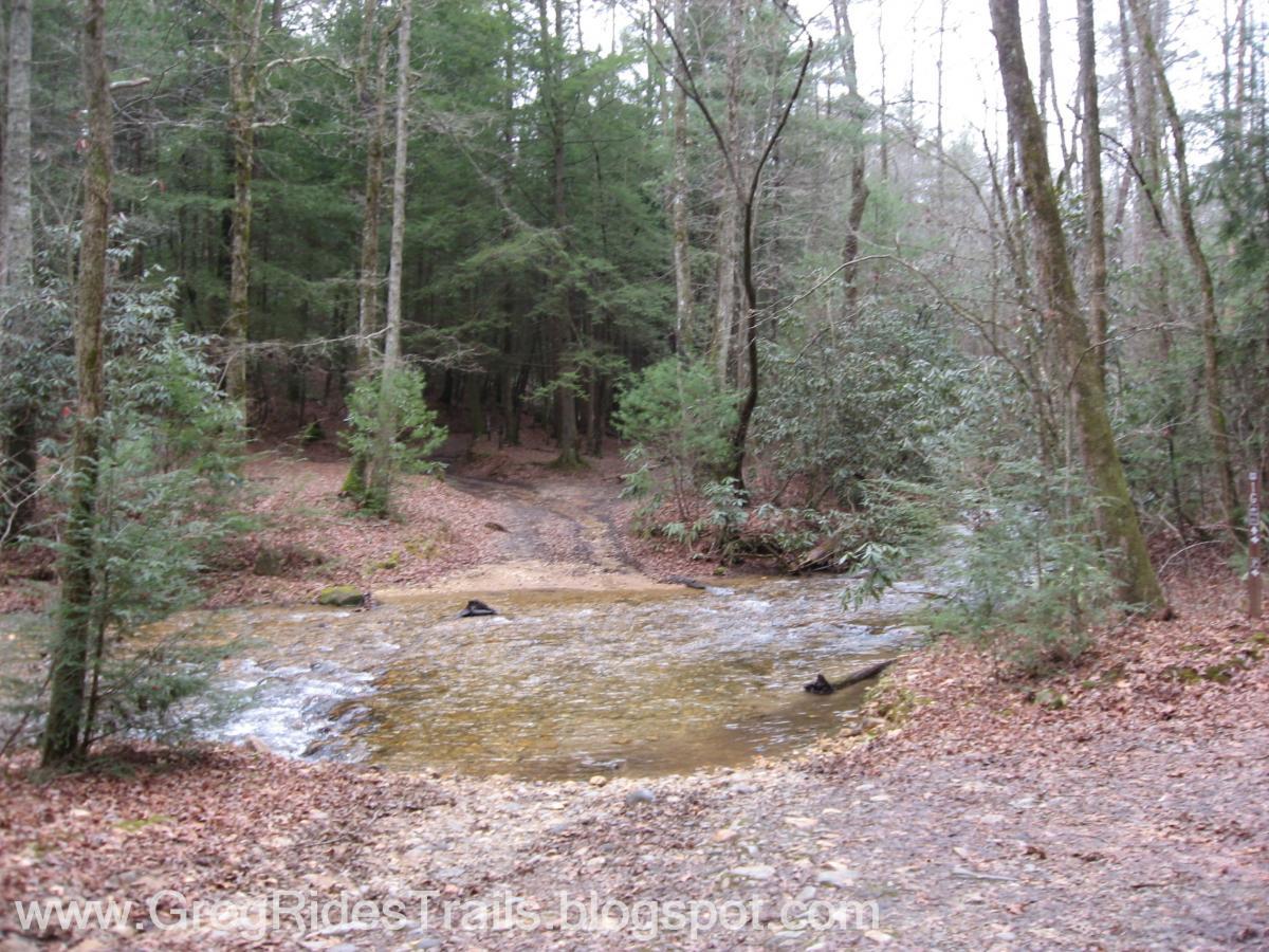 A serene forest landscape featuring a small stream flowing over a rocky path, surrounded by tall trees and lush greenery. Brown leaves cover the ground, indicating a tranquil, natural setting. Bull / Jake Mountain mountain bike trail.