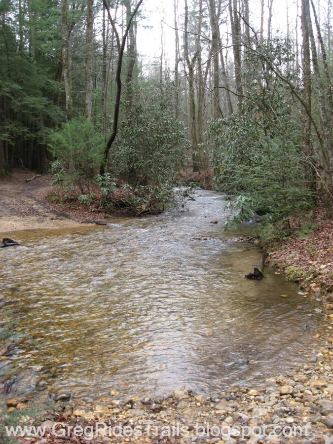 A serene view of a shallow creek winding through a wooded area, surrounded by trees and underbrush. The water is clear, reflecting its rocky bottom, while the banks are lined with various plants. The scene conveys a peaceful, natural setting. Bull / Jake Mountain mountain bike trail.