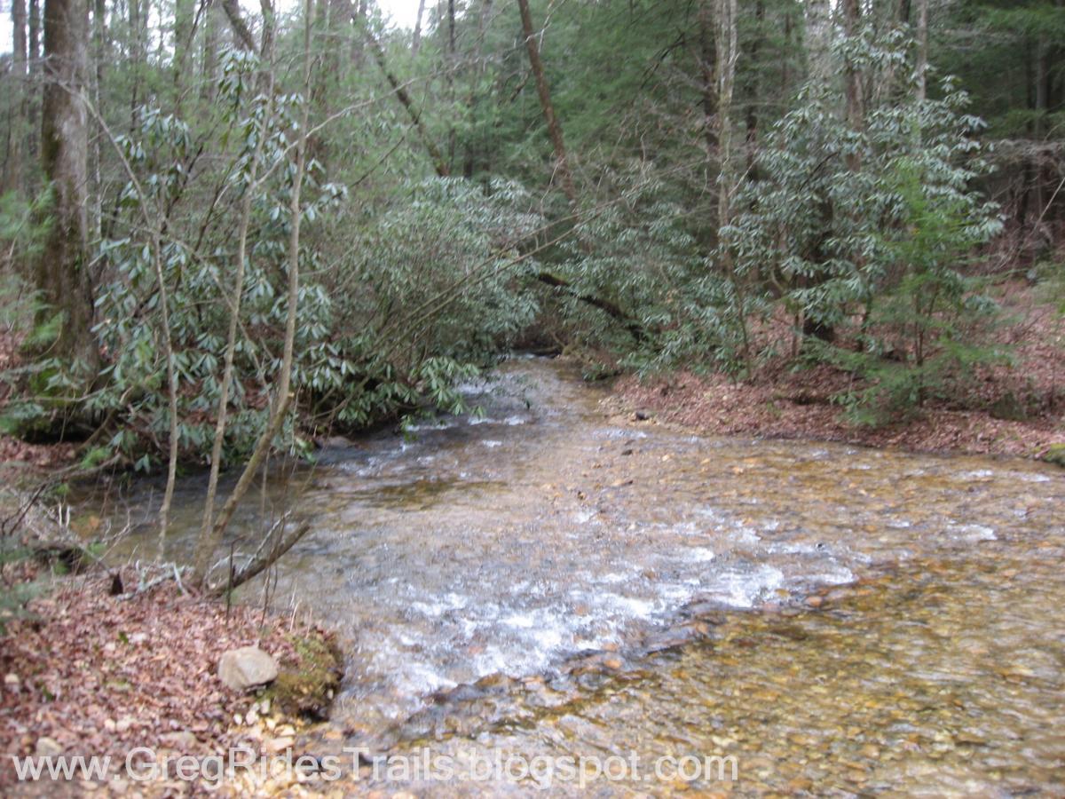 A tranquil forest scene featuring a clear, gently flowing stream bordered by lush green vegetation and scattered fallen leaves. Tall trees surround the area, creating a serene and natural environment. Bull / Jake Mountain mountain bike trail.