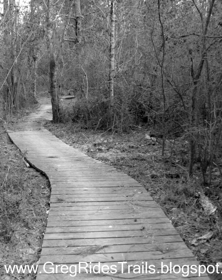A winding wooden boardwalk trail through a forested area, surrounded by trees and underbrush, captured in black and white. Gainesville College mountain bike trail.
