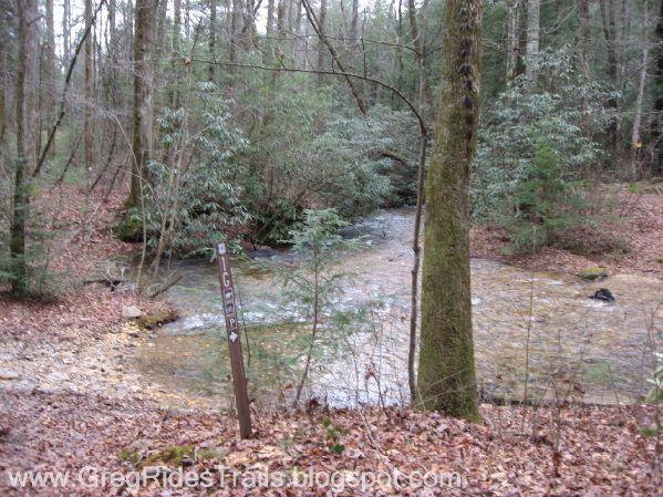 A serene forest scene featuring a gently flowing stream surrounded by lush greenery and fallen leaves. A wooden sign indicating "Old Gentry" stands by the water's edge, partially obscured by vegetation. The overall atmosphere is calm and natural, showcasing the beauty of the woodland landscape. Bull / Jake Mountain mountain bike trail.