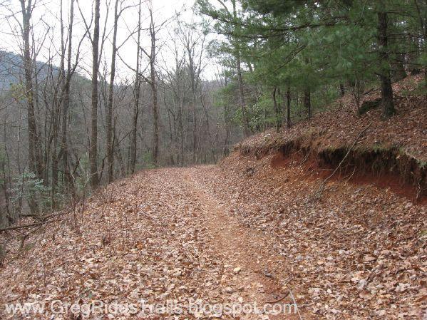 A winding dirt path surrounded by bare trees and lush greenery, covered with fallen leaves. The trail leads into a forested area, with a mix of deciduous and coniferous trees along the edges. The ground is slightly elevated on one side, showing a red earth surface. The atmosphere suggests a calm, serene nature setting in early spring or late autumn. Bull / Jake Mountain mountain bike trail.
