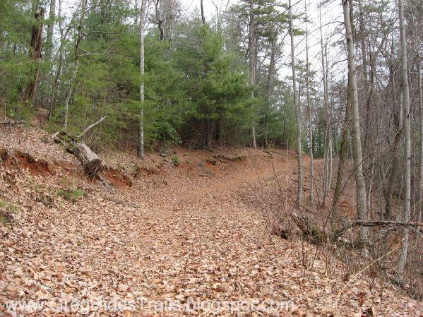 A winding dirt trail covered with autumn leaves, surrounded by trees with green foliage and barren branches, leading through a peaceful forest setting. Bull / Jake Mountain mountain bike trail.