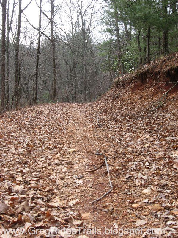 A dirt trail winding through a forest, covered with fallen leaves and flanked by bare trees and greenery. The path has a slightly elevated edge, with a few scattered twigs and stones visible on the ground. The scene conveys a tranquil, natural setting, typical of a wooded hiking area. Bull / Jake Mountain mountain bike trail.
