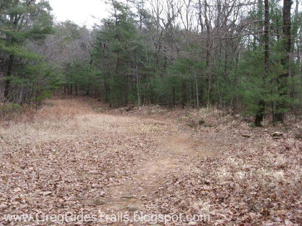 A dirt path winding through a forested area, surrounded by trees and scattered fallen leaves. The scene captures a natural, tranquil environment with a mix of deciduous and evergreen trees. The path appears to lead deeper into the woods. Bull / Jake Mountain mountain bike trail.