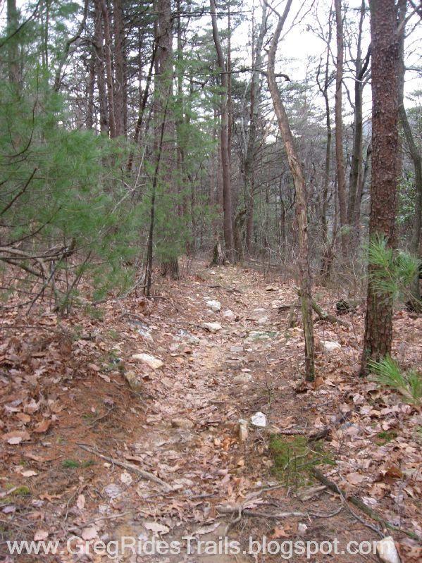 A narrow dirt hiking trail winding through a forest, surrounded by trees and scattered leaves on the ground. The scene is serene, with a mix of pine and deciduous trees lining the path, and small rocks along the trail. Bull / Jake Mountain mountain bike trail.