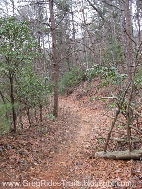 A narrow dirt trail winds through a wooded area, surrounded by tall trees and shrubs. The ground is covered in fallen leaves, and a few branches are visible along the path. The scene depicts a tranquil and natural environment, suggesting an inviting location for hiking or exploration. Bull / Jake Mountain mountain bike trail.