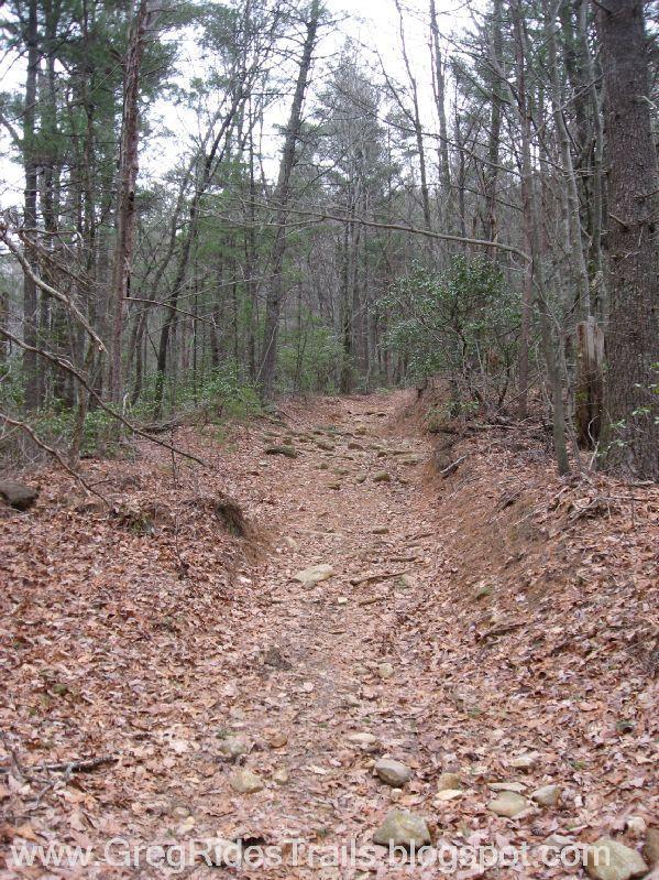 A narrow, dirt hiking trail winding through a forest, lined with trees and scattered rocks, covered in dry leaves. The path is slightly elevated with gentle slopes on either side, creating a rustic and natural atmosphere. Bull / Jake Mountain mountain bike trail.
