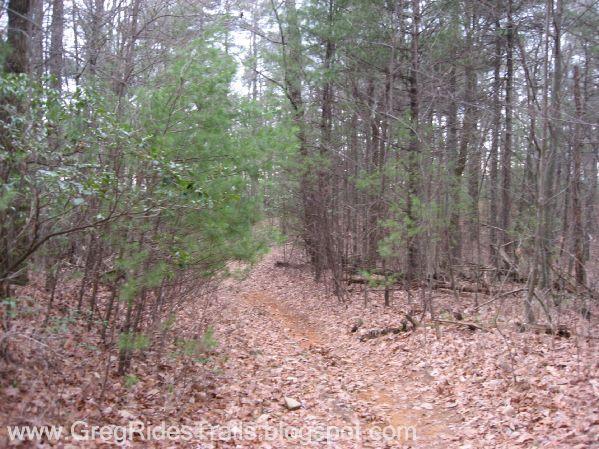 A narrow, winding dirt path surrounded by trees and underbrush, covered with brown leaves, indicating a serene woodland environment. The trail appears to lead deeper into the forest, with lush green foliage on either side. Bull / Jake Mountain mountain bike trail.