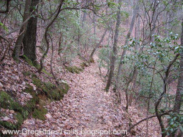 A winding dirt trail surrounded by trees and underbrush, covered with fallen leaves. The path is narrow and leads through a dense, natural landscape, suggesting a tranquil hiking experience in the woods. Bull / Jake Mountain mountain bike trail.