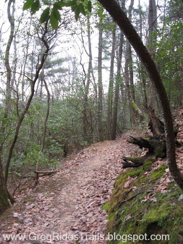 A winding dirt trail surrounded by trees and underbrush, featuring scattered leaves on the ground. The pathway is bordered by moss-covered rocks and branches, creating a serene forest atmosphere. Bull / Jake Mountain mountain bike trail.