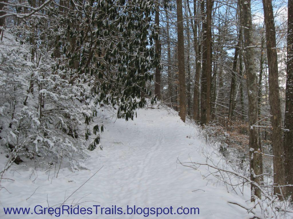 A snow-covered trail winding through a forest, surrounded by tall trees and shrubs. The path is lined with fresh snow, creating a peaceful winter scene. Clear blue sky is visible above, adding to the serene atmosphere. Fontana Village mountain bike trail.