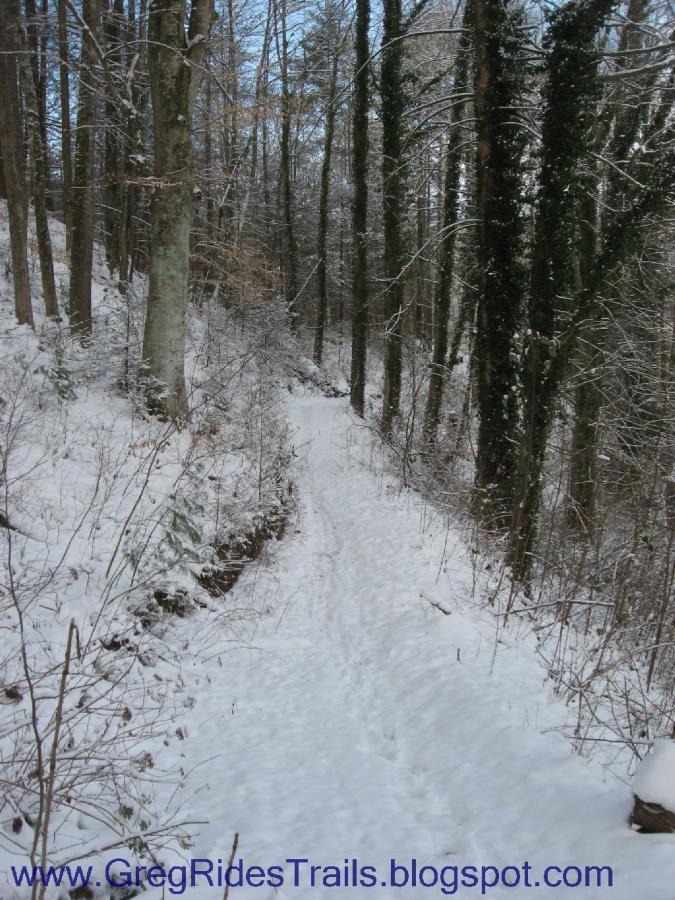 A snowy hiking trail winding through a forest, surrounded by tall trees with a light dusting of snow on the ground and branches. The clear blue sky is visible above. Fontana Village mountain bike trail.