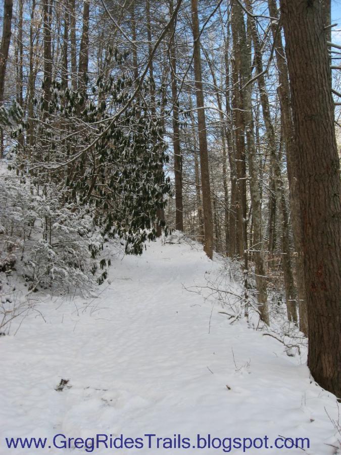 A snowy forest pathway lined with tall trees, creating a serene and tranquil atmosphere. The ground is covered in a fresh layer of snow, and sunlight filters through the branches. Fontana Village mountain bike trail.