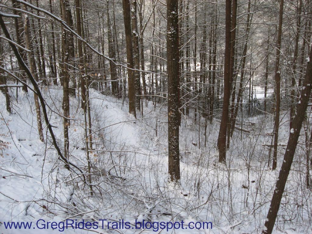 A snowy forest scene with tall tree trunks and a blanket of white snow covering the ground. The landscape features a path winding through the trees, with sparse vegetation and patches of snow on the branches. The atmosphere conveys a calm, wintry wilderness. Fontana Village mountain bike trail.