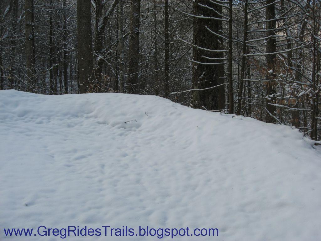 A snowy landscape with a gentle slope covered in white snow, surrounded by tall trees. The scene captures a tranquil winter atmosphere, with light snowfall creating a serene ambiance in the forest. Fontana Village mountain bike trail.