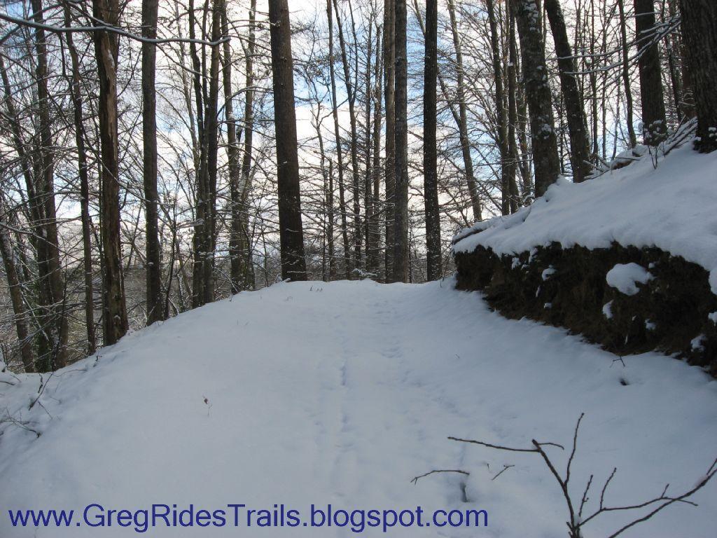 A snow-covered trail winding through a forest of tall, bare trees under a cloudy sky. The ground is blanketed in fresh snow, with hints of natural vegetation peeking through. Fontana Village mountain bike trail.