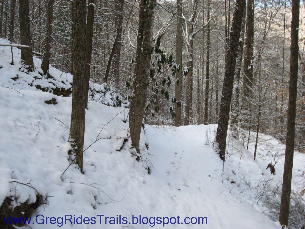 Snow-covered woodland pathway surrounded by tall trees, creating a serene winter scene. Fontana Village mountain bike trail.