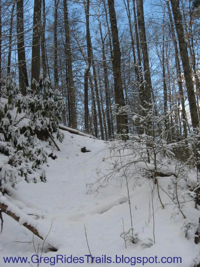 A snowy forest scene with tall, bare trees stretching towards a clear blue sky. The ground is covered in fresh snow, showing a gentle slope that leads up the hill, with patches of greenery peeking through the white landscape. Small shrubs and branches are visible in the foreground, adding to the serene winter atmosphere. Fontana Village mountain bike trail.