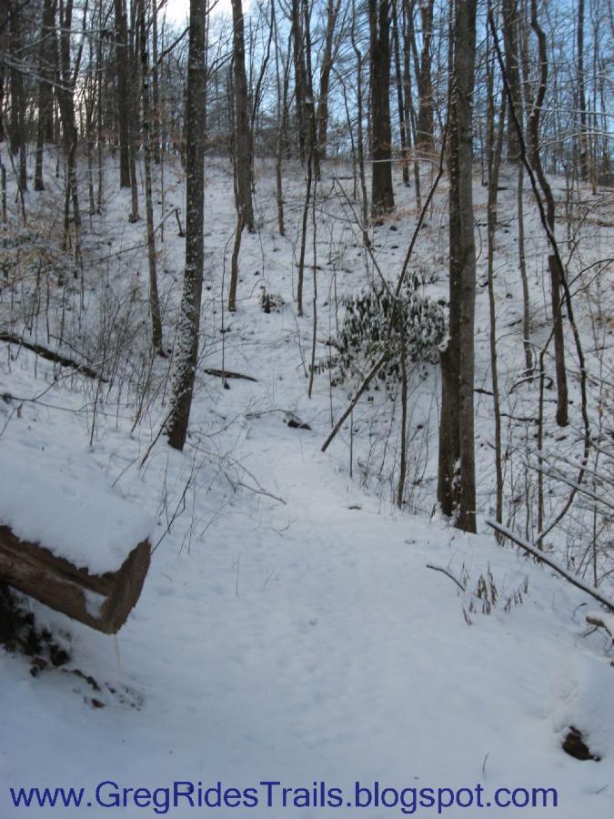 A snow-covered forest trail leading up a hillside, surrounded by bare trees. The ground is blanketed in white snow, and patches of greenery can be seen among the branches. Soft sunlight filters through the trees, creating a serene winter atmosphere. Fontana Village mountain bike trail.