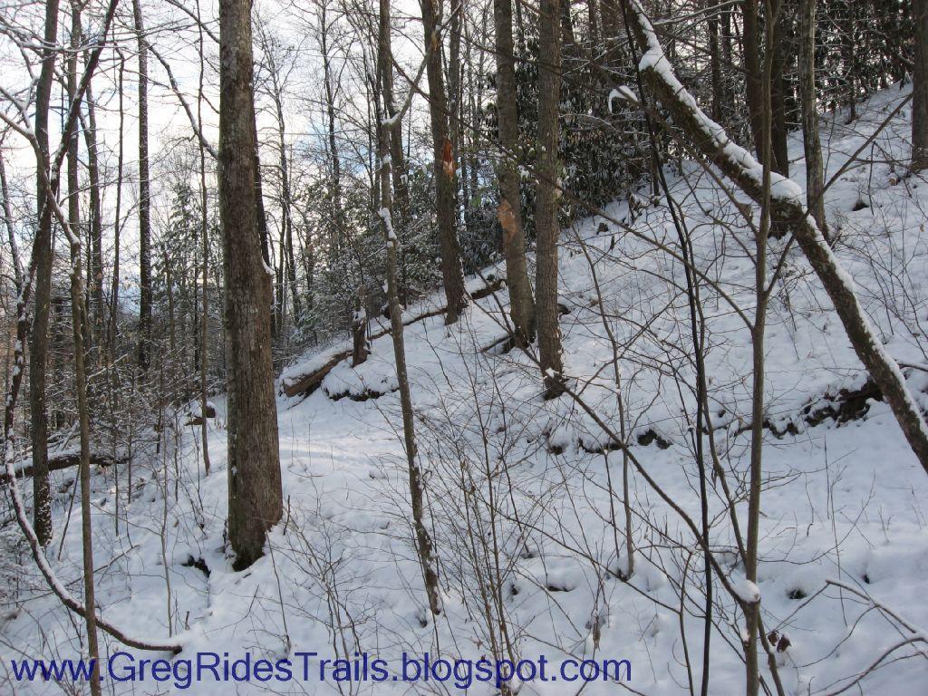 A snowy forest scene featuring tall, bare trees and a gently sloping hillside covered in fresh snow. The ground is blanketed in white, with some rocky outcrops visible. Soft, diffused light filters through the trees, enhancing the serene winter atmosphere. Fontana Village mountain bike trail.