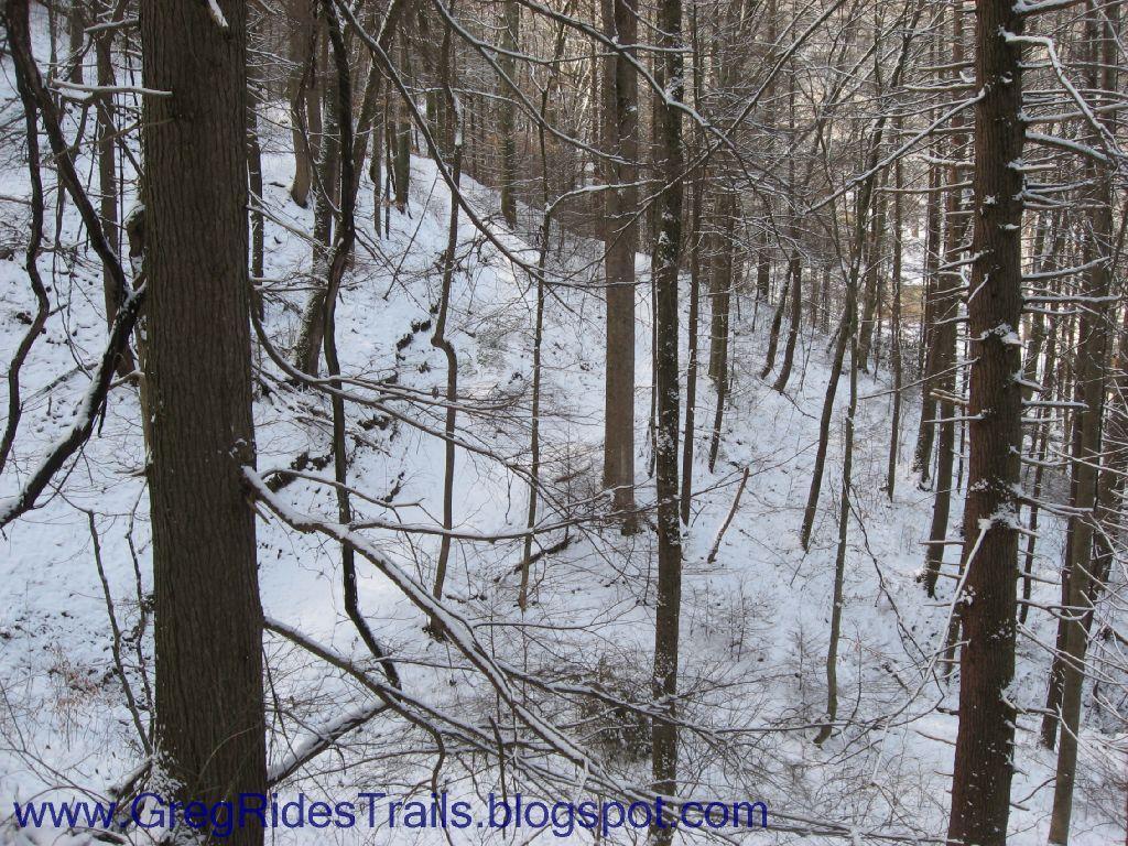 A snow-covered forest scene with tall trees, showcasing a tranquil winter landscape. The ground is blanketed in white snow, and the branches of the trees are lightly dusted with snowflakes. Fontana Village mountain bike trail.