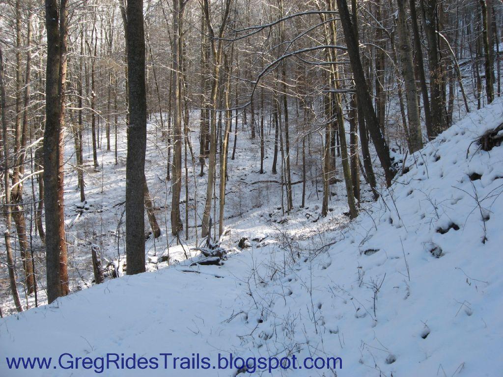 A snowy forest scene featuring tall trees with bare branches, covered in a light dusting of snow. The ground is blanketed in snow, creating a serene winter landscape, with sunlight filtering through the trees, illuminating parts of the scene. Fontana Village mountain bike trail.