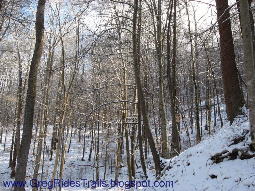 A serene winter forest scene featuring bare trees dusted with snow, with sunlight streaming through the branches. The ground is covered in a light layer of snow, creating a peaceful and quiet atmosphere. Fontana Village mountain bike trail.