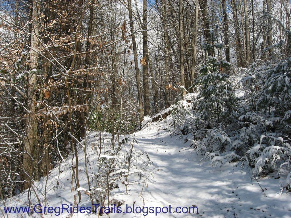 A snowy forest trail surrounded by trees, with a carpet of fresh snow covering the ground. Sunlight filters through the branches, creating a serene and peaceful winter landscape. Fontana Village mountain bike trail.