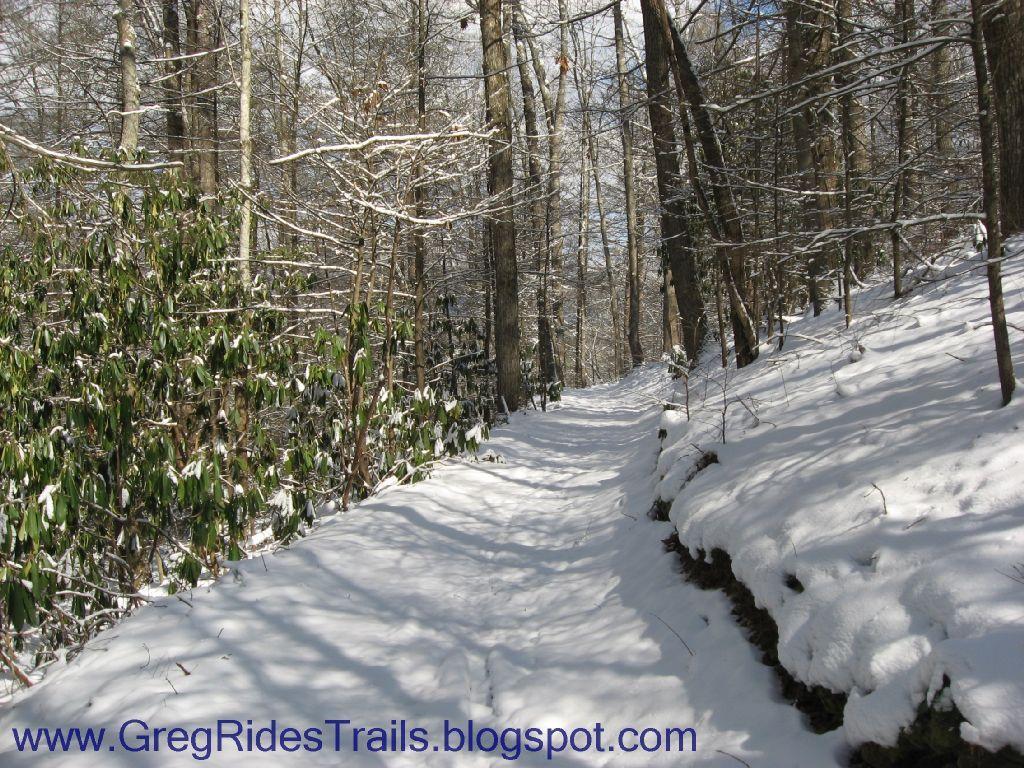 A snow-covered pathway winding through a forest, flanked by trees and evergreen shrubs. The ground is blanketed in fresh snow, and the branches above are lightly dusted with white. Sunlight filters through the trees, creating a serene winter landscape. Fontana Village mountain bike trail.