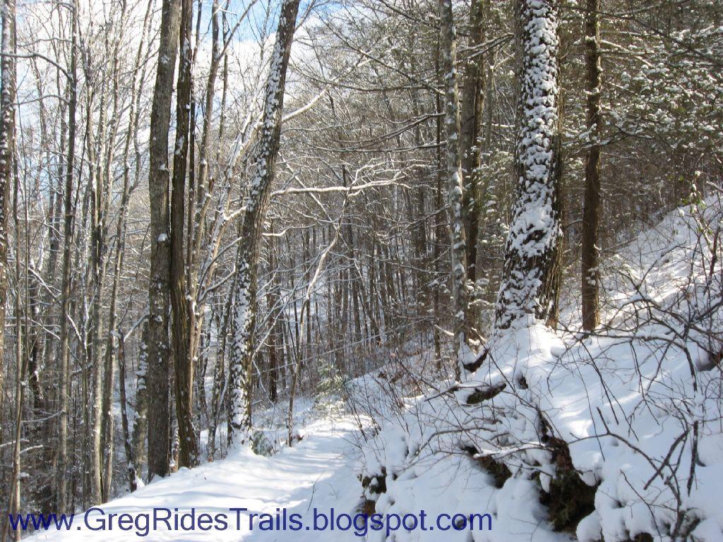 A winter forest scene featuring snow-covered trees and a winding path. The ground and tree trunks are blanketed in fresh snow, with patches of blue sky visible through the branches. The sunlight filters through the trees, creating a serene and peaceful atmosphere. Fontana Village mountain bike trail.