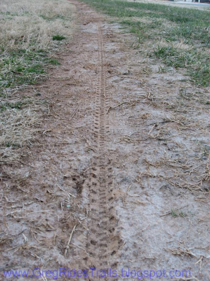 Tire tracks visible on a dirt path, surrounded by patches of grass and bare soil. The tracks show a clear pattern indicating the direction of travel. Gainesville College mountain bike trail.