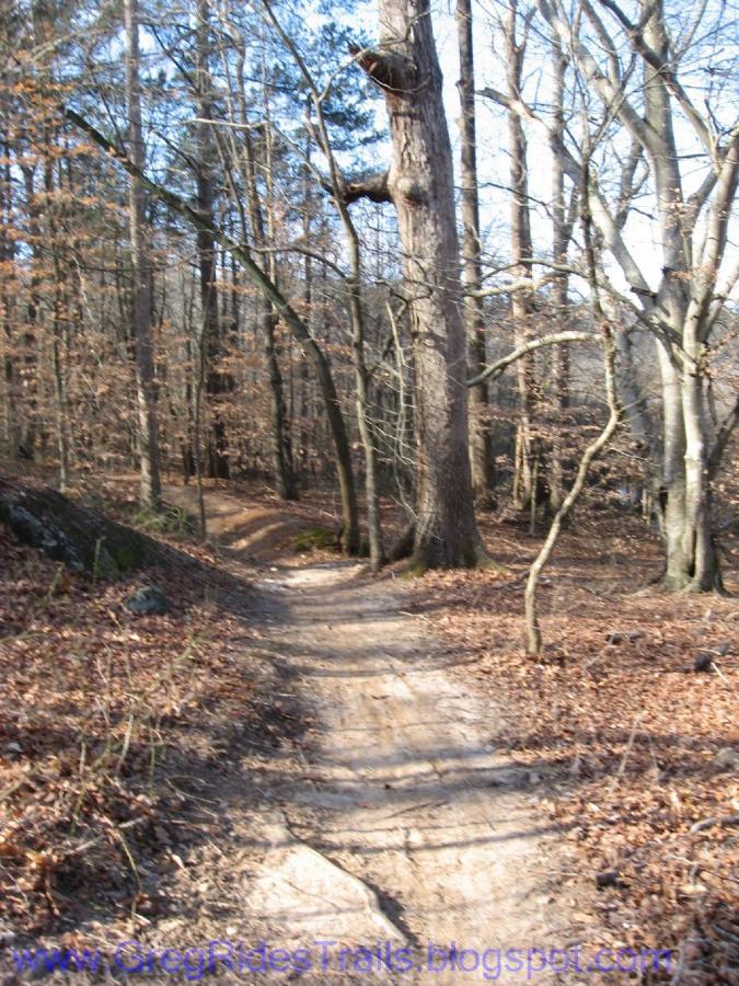 A winding dirt trail through a forest, surrounded by bare trees and scattered leaves on the ground. The path leads into the distance, with a few large rocks visible along the edges. The scene is set in a natural, wooded environment, suggesting a peaceful outdoor setting. Gainesville College mountain bike trail.