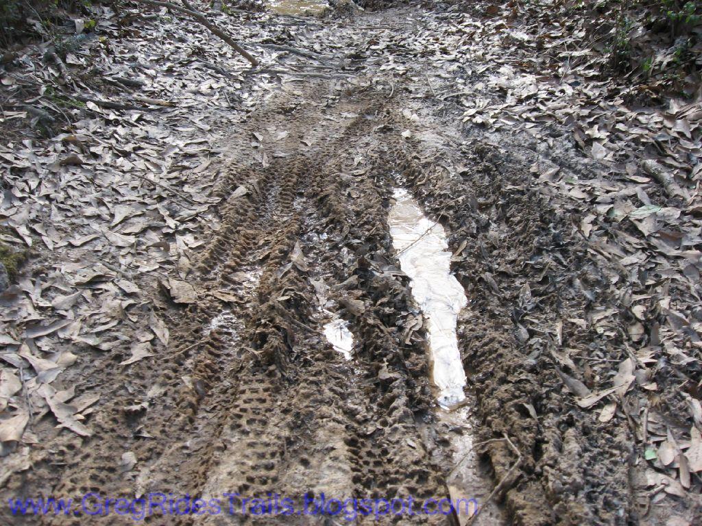 A muddy trail featuring tire tracks, surrounded by fallen leaves. A small puddle of water is visible in the ruts of the trail. Gainesville College mountain bike trail.