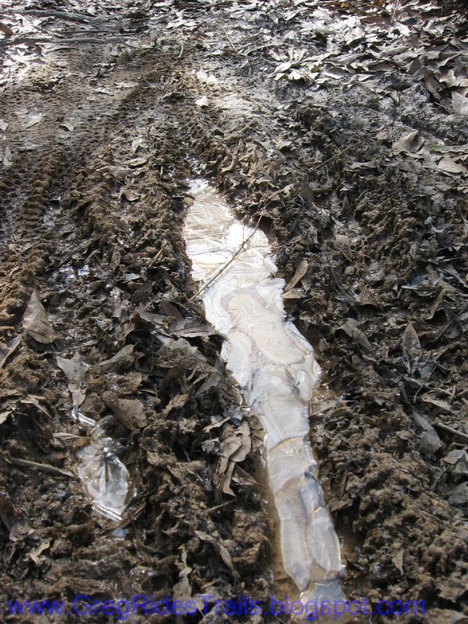 Wet, muddy ground with tire tread marks running through it, surrounded by scattered dry leaves. A small stream of clear water is visible in the center of the tracks, reflecting the surrounding environment. Gainesville College mountain bike trail.