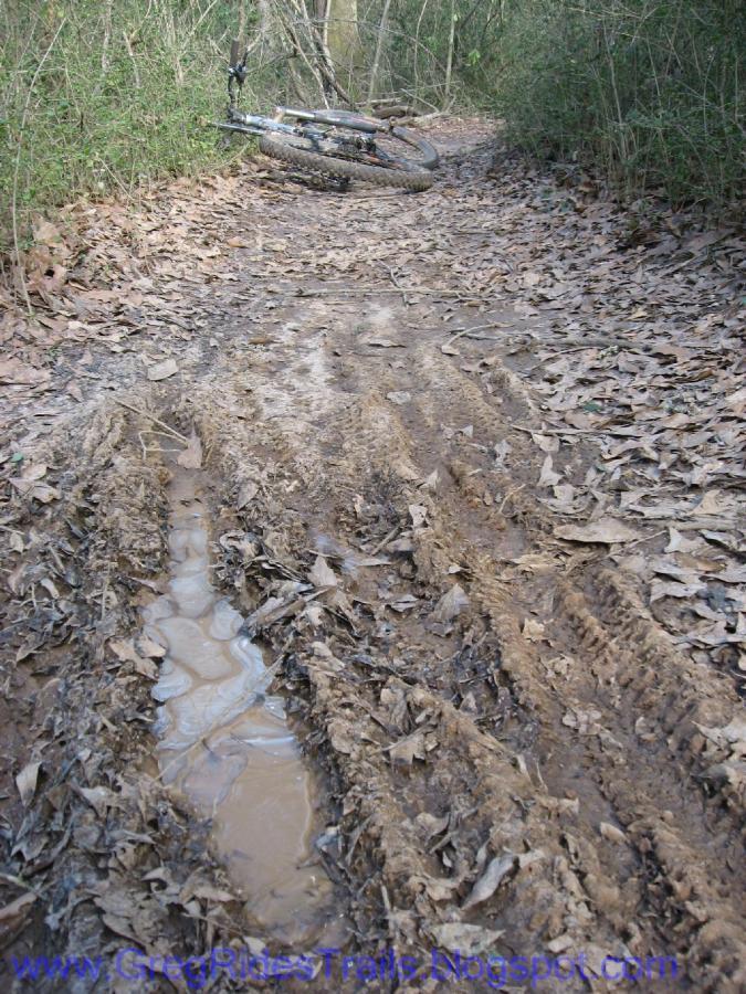 A muddy bike trail surrounded by trees, with a bicycle lying on its side in the background. The trail shows tire tracks and puddles of water, with scattered leaves covering the ground. Gainesville College mountain bike trail.
