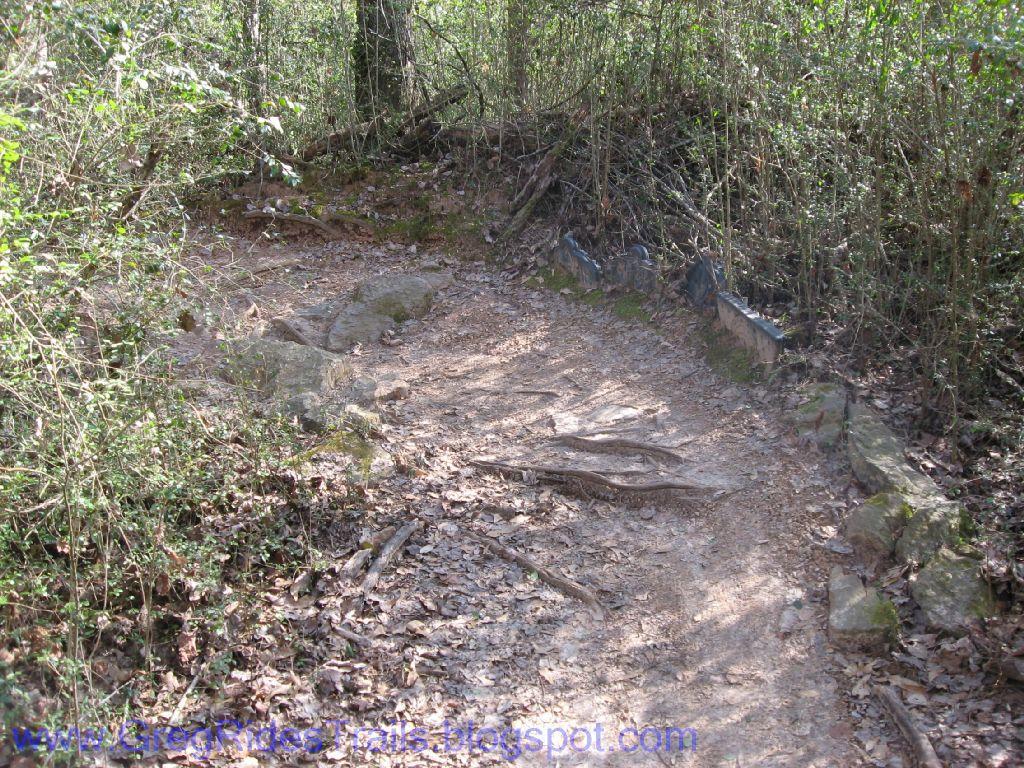 A winding dirt trail surrounded by dense vegetation, with rocks and exposed tree roots along the path. Sunlight filters through the trees, casting a natural glow on the earthy ground and foliage. Gainesville College mountain bike trail.