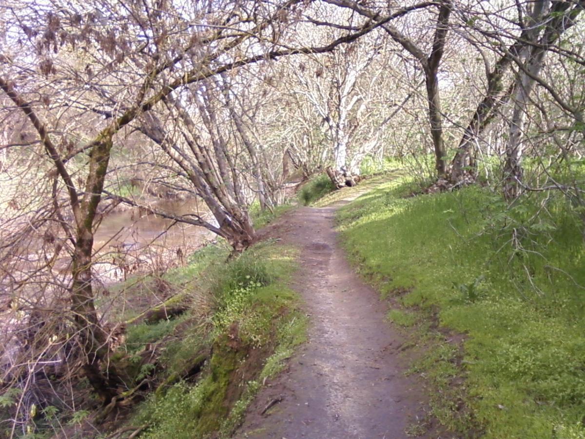 A serene path winding through a wooded area, bordered by trees with bare branches and patches of green grass. A river can be seen in the background, adding to the tranquil atmosphere of the natural setting. The scene conveys a sense of calm and the beauty of nature in early spring. Dry Creek Trail mountain bike trail.