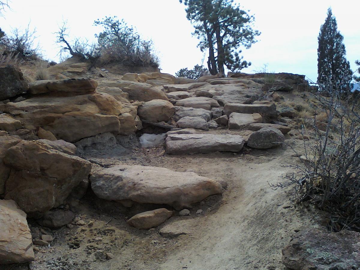 Rocky hiking trail leading up a steep incline, surrounded by sparse vegetation and trees. The path consists of large, uneven stones and dirt, indicating a natural and rugged outdoor environment. The sky is overcast, adding a muted atmosphere to the scene. Palmer Park mountain bike trail.