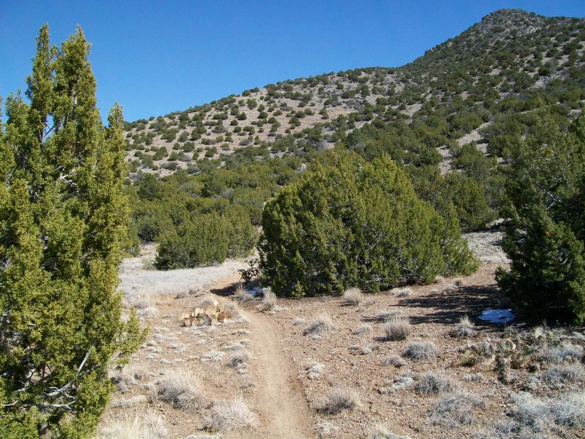 A winding dirt path leads through a sparse mountainous landscape, surrounded by low shrubs and trees. The terrain is dry and hilly, under a clear blue sky. Tight Rope mountain bike trail.