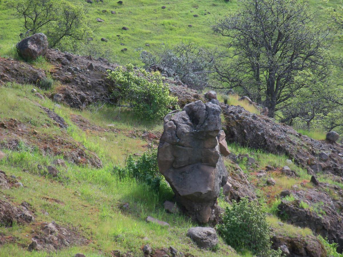 A rocky hillside covered in green grass and small shrubs, with a prominently shaped rock formation in the foreground. Several trees can be seen in the background, contributing to the lush, natural landscape. Upper Bidwell Park mountain bike trail.
