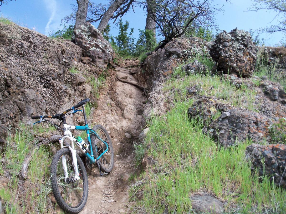 A mountain bike leaning against a rocky, uneven trail surrounded by green grass and trees under a blue sky. The path appears challenging, with exposed dirt and rocks suggesting a rugged terrain for cycling. Upper Bidwell Park mountain bike trail.