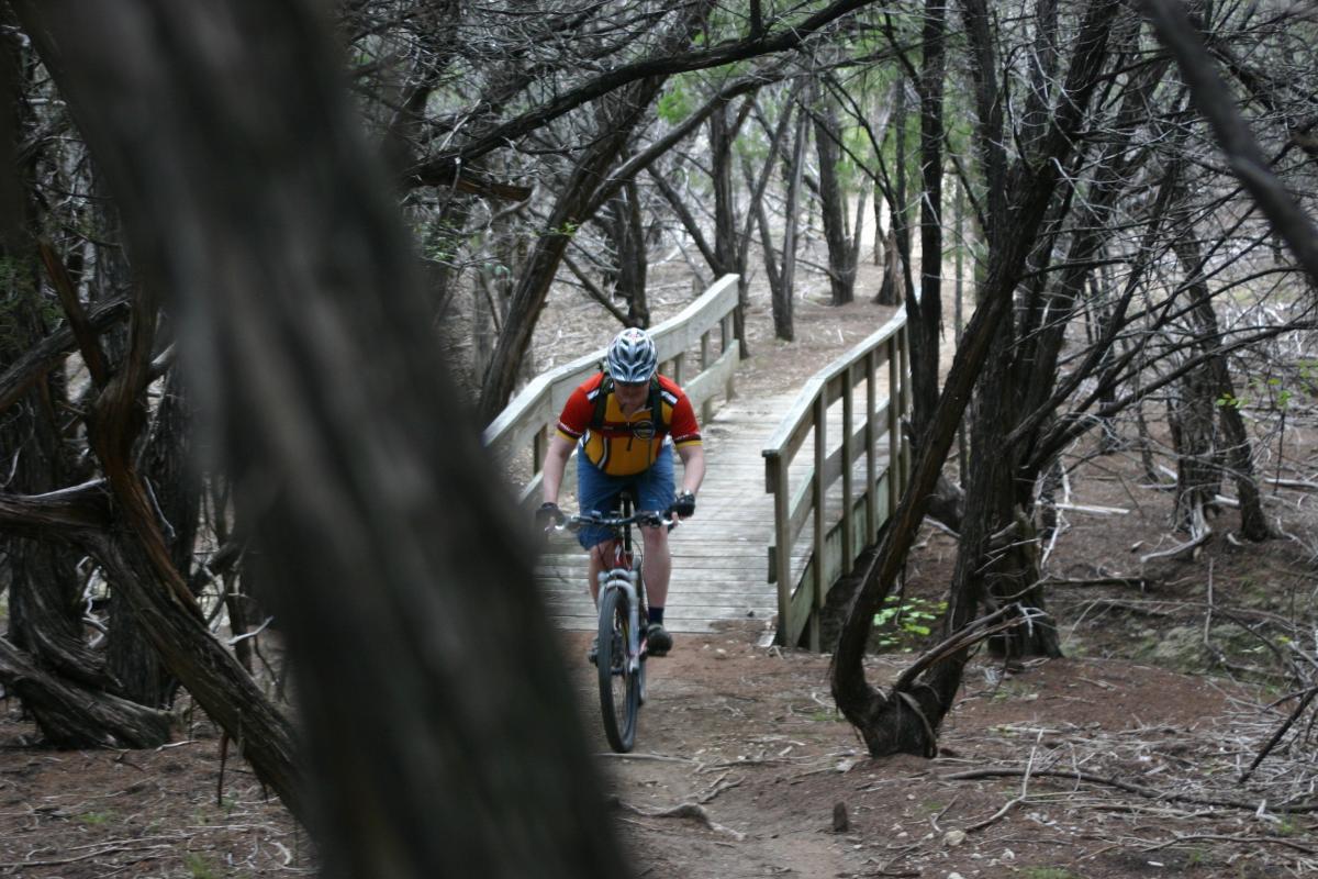 A cyclist in a bright red and yellow jersey rides a mountain bike along a dirt path leading to a wooden bridge, surrounded by dense trees and brush. The image captures the essence of outdoor adventure and nature. Dana Peak mountain bike trail.