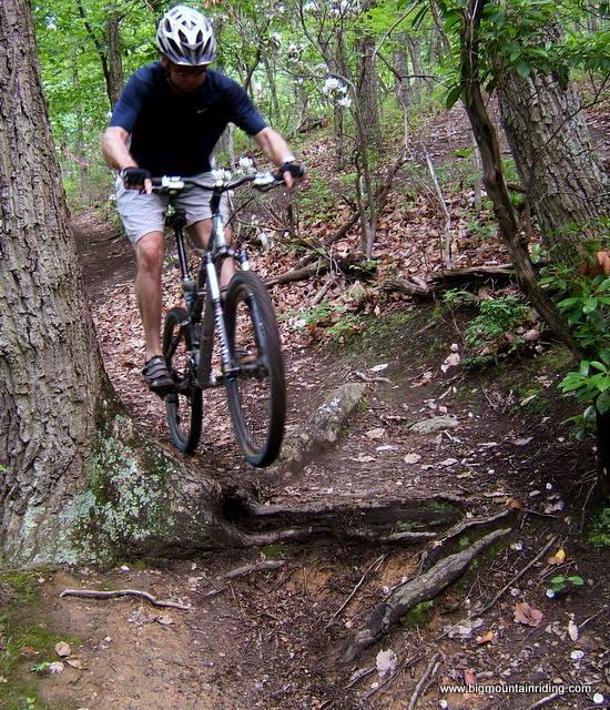 A cyclist wearing a helmet and athletic clothing performs a jump on a mountain bike, navigating a trail surrounded by trees and rocky terrain. Leaves cover the ground and a tree trunk is visible on the left side of the image. Liberty Mountain mountain bike trail.