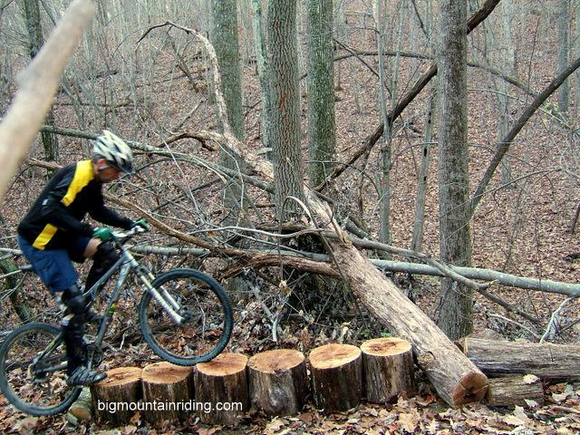 A mountain biker in a helmet and protective gear navigates over a series of cut logs arranged as a trail obstacle, surrounded by a wooded area with bare trees and fallen leaves. Liberty Mountain mountain bike trail.